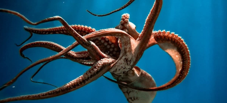 Kursuse Tase 1 illustratsioon